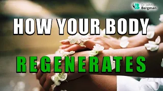 How Your Body Regenerates - Dr. John Bergman D.C. & Dr. Tony O'Donell PhD