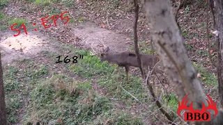 Ohio Giant Bow Buck | Sweet November | Bowhunting the Rut | Whitetails