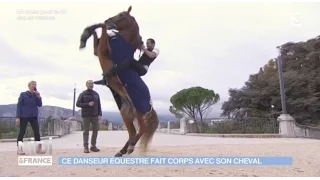 Danseur équestre : ne faire qu'un avec son cheval