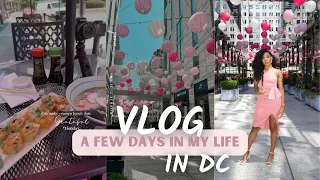 VLOG| Days in My Life in DC | photoshoots, solo lunch date, spring fashion haul, pageant diaries!