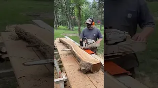 Stihl MS 661 and Logosol F2+ Compilation! #stihl #logosol #chainsawmill