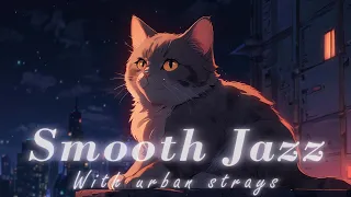 【のらねこJAZZ】SMOOTH JAZZ  大都会の片隅で生きる猫たちの記録 作業用BGM  スムースジャズ 　Relaxing Music chill