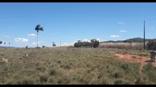 Alta produtividade, Fazenda em Vila Rica MT. Área 400 Alqueirão ✔️Aberta 340 Alqueirão Dupla Aptidão