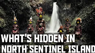 What's Hidden on the Forbidden North Sentinel Island? Find Out!