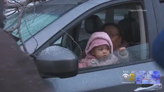 Tree Falls On Car In Calumet Heights; Narrowly Misses Child In Car Seat