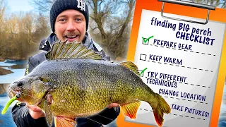 PERCH PURSUIT – Multi-Day Hunt for GIANT Fish!