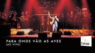 Sérgio Lopes - Para Onde Vão as Aves ao vivo | Zekap Music