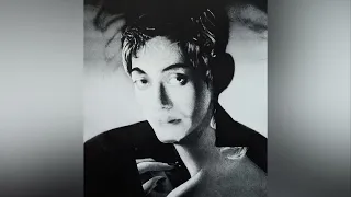 Haruomi Hosono presents - Non-Standard Label 1985-1988 (ノンスタンダードの響き Part II)