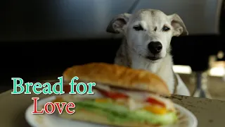 "Bread For Love" (Short Film) ft. Loki