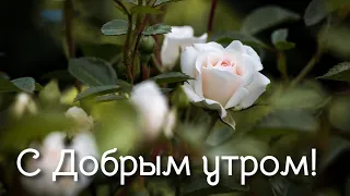 ПОЖЕЛАНИЕ НА ВЕСЬ ДЕНЬ С Добрым Утром Хорошего Дня. Доброе Утро!