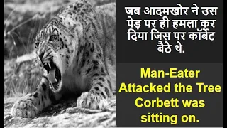 Panar Man-Eater || The Temple Tiger and More Man-Eaters of Kumaon || Jim Corbett || Man-Eater Story