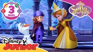 Sofia the First | My Finest Flower Song | Disney Junior UK