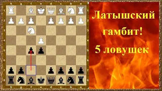 Шахматы дебюты. Латышский гамбит. 5 ловушек!