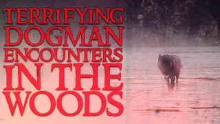 5 TERRIFYING Dogman Encounters in the Woods