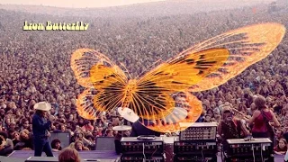 Iron Butterfly (1999)