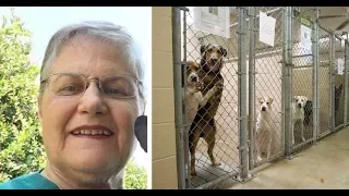 Woman asks shelter for oldest, hardest to adopt dog that no one wants. Here’s who they gave her