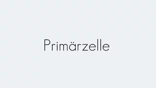 Primärzelle | Grundbegriffe | Begriffserklärung