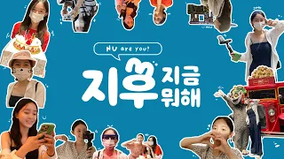 (SUB)[지후로그]지후가 싱가포르를 즐기는 방법🎢 (feat.싱가포르, 칵테일, 센토사, 유니버설 스튜디오, 포토존)