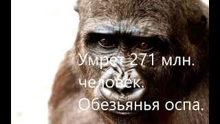Обезьянья оспа. Умрет 271 млн. человек. #обезьяньяоспа #пандемия #заболевания