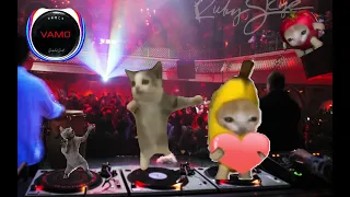 Happy Happy Happy Cat (Club Party) [Banana Cat Still Crying]