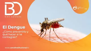 Dengue en Colombia: ¿Cómo prevenirlo y qué hacer si te contagias?- Bien Dateado