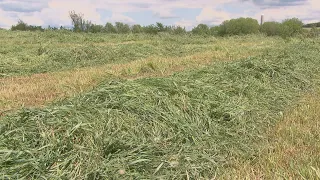 La semaine verte | Cultiver les plantes fourragères