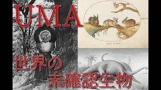 【ゆっくりと見る】世界の未確認生物（UMA）たち【ゆっくり解説】