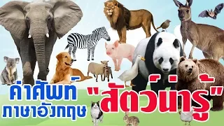 คำศัพท์ภาษาอังกฤษ เรื่องสัตว์ต่างๆ l พร้อมรูปและคำอ่าน l คำศัพท์ภาษาอังกฤษในชีวิตประจำวัน