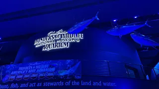 Live At Wonders Of Wildlife Aquarium | What Will We See Today? | Sharks, Fish And More