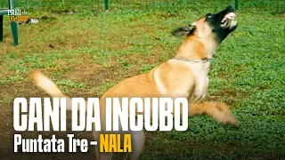 CANI DA INCUBO - Stagione 1 - Puntata 3 NALA