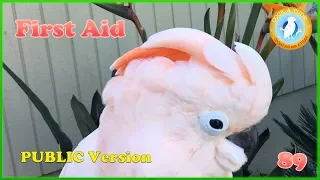 How To Do First Aid On Your Bird | Ep.89: Parrot First Aid Tips | Cockatude: Cockatoos with Attitude