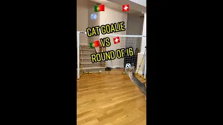 Cat Goalie - Portugal🇵🇹 Vs Switzerland🇨🇭 | 2022 FIFA Round Of 16