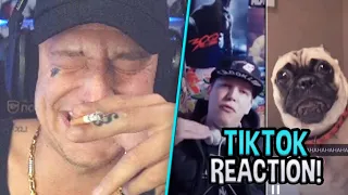 Monte guckt LIVE TIKTOKS! 🤣 Reaktion auf TikTok Clips | MontanaBlack Reaktion