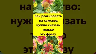 Как реагировать на хамство: нужно сказать только эту фразу