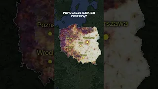Złożyłem 16 Współczesnych Map Polski w 1 Obraz!