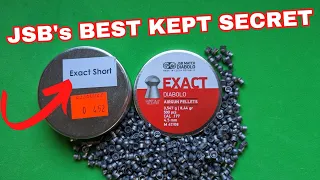 The best air rifle pellet you've probably never heard of!