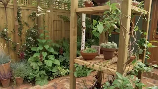Magical Courtyard Garden