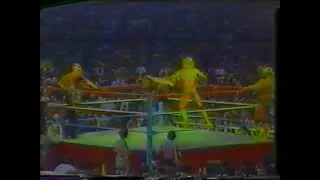 WWC: The Road Warriors vs. The Fabulous Ones (1985)