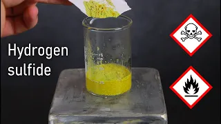 Making Hydrogen Sulfide From Common Household Materials | LabCoatz Shorts