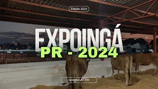 Expoingá 2024 - Maringá - PR | Vlog