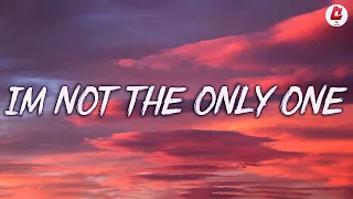 I'm Not The Only One - Sam Smith (Lyrics) | Paloma Faith, Ellie Goulding, Lukas Graham,...  .133