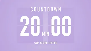 20 Min Countdown Flip Clock Timer / Simple Beeps 🫐 🔔