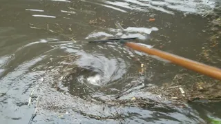 Draining Major Roadway Flood By Unclogging Storm Drain