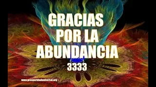 THANK YOU FOR THE ABUNDANCE - 3333 - UNIVERSAL PROSPERITY