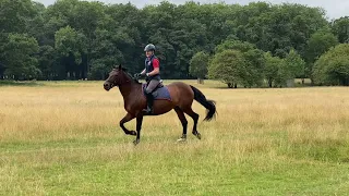 Windsor Great Park, Windsor, UK  September 2021. The Wonders of Nature