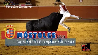 COGIDA del "PETA" en el CAMPEONATO de  ESPAÑA de RECORTADORES #mostoles