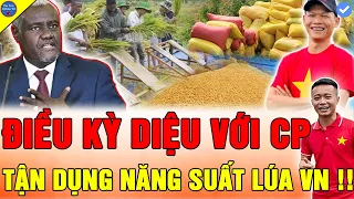 🔴THẾ GIỚI NỨC LÒNG Linh Philip Team Quang Linh Vlogs NẮNG SUẤT LÚA VIỆT NAM VƯỢT TRỘI TẠI CHÂU PHI