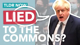 Did Johnson Actually Lie to Parliament - TLDR News