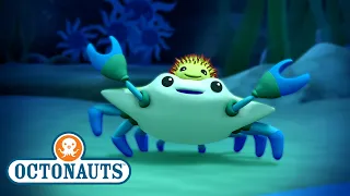 @Octonauts - The Crab & Urchin | Full Episode 18 | @OctonautsandFriends