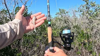 Hot Bite on a Cold Day Inshore Fishing